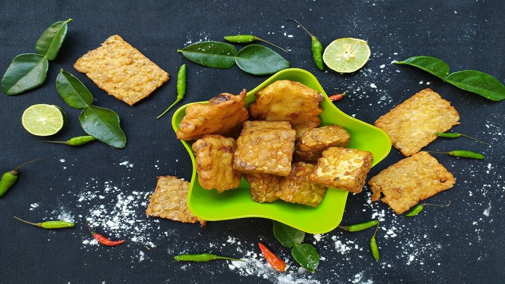 olahan tempe khas Nusantara