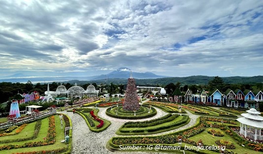 Taman Bunga Celosia Semarang