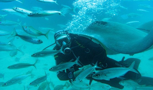 Pesona Wisata di Wakatobi