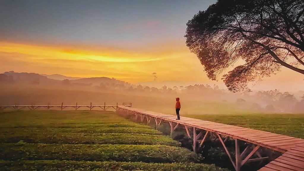 Rekomendasi Tempat Wisata di Pangalengan Bandung Selatan