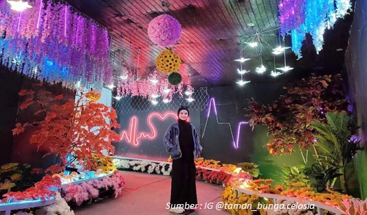 Spot Foto Instagramable Taman Bunga Celosia Semarang