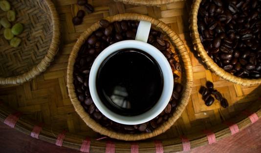 Ubud Cycling Bike, Kopi Luwak, Ubud, Bali