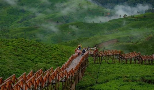 4 Alasan ke Taman Langit Pangalengan Bandung 1 Taman Langit Pangalengan