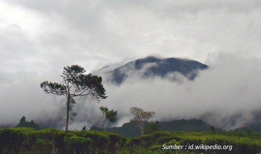 Taman Wisata Cibodas Cianjur
