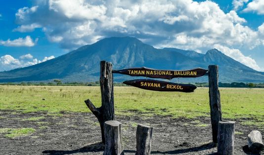 Bak Savana Afrika, 5 Alasan ke Taman Nasional Baluran! 1 Savana Bekol, Taman Nasional Baluran, Jawa Timur, Africa van Java
