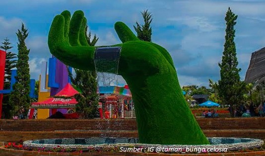 Wahana dan Spot Menarik di Taman Bunga Celosia