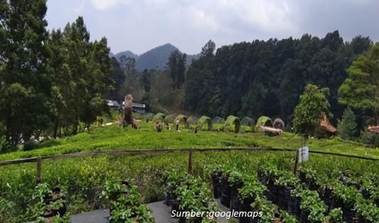 Rekomendasi Wisata Ciater Subang, No.4 Seperti di Turki 4 Wisata Ciater Subang