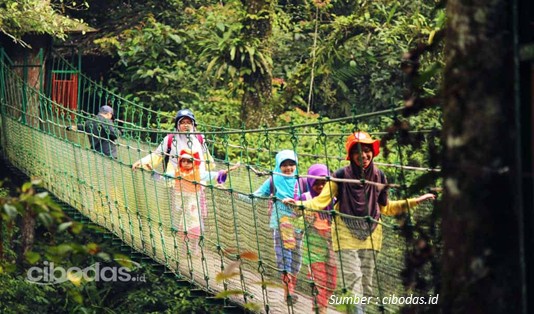 Taman Wisata Cibodas Cianjur