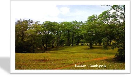 Wisata Timor Tengah Selatan
