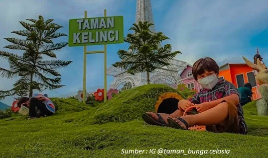 Wisata taman bunga Celosia