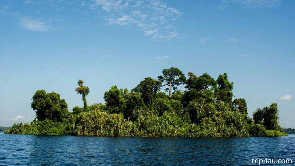 6 Aktivitas Seru di Desa Wisata Dayun dan Cicipi Brownies Semangka 3 keindahan danau Zamrud