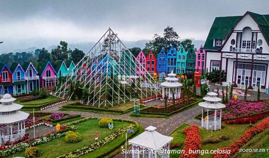 taman bunga Celosia Semarang