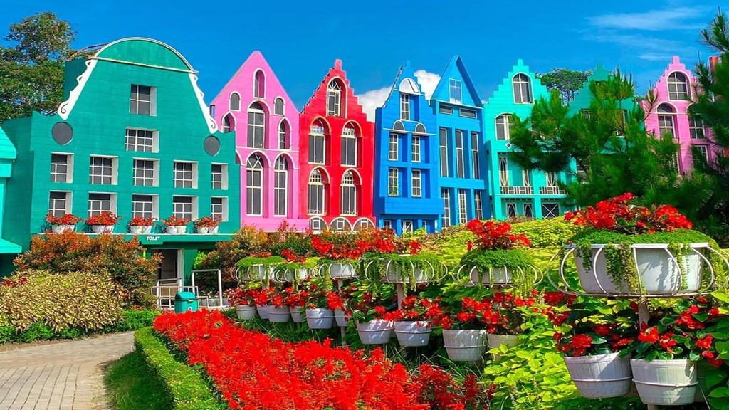 taman bunga Celosia Semarang