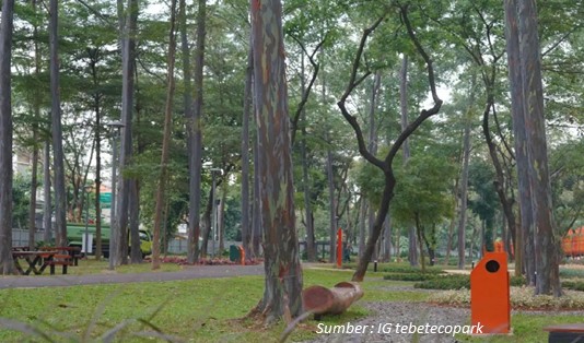Konsep Tebet Eco Park