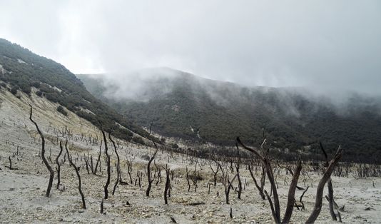 Open Trip Gunung Papandayan