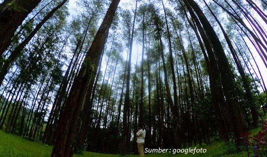 Wisata Madiun yang Lagi Hits