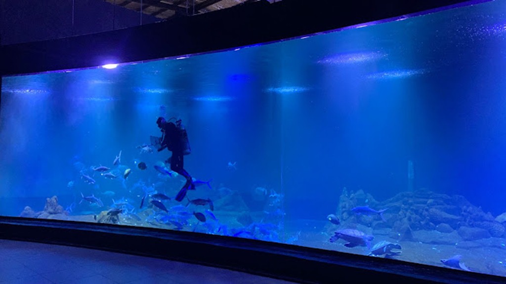 Aquarium Indonesia Pangandaran