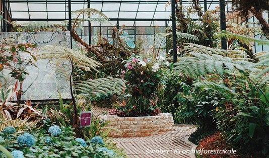 Daya Tarik Glamping Orchid Forest Bandung