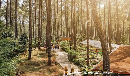 Lokasi Glamping Orchid Forest Bandung