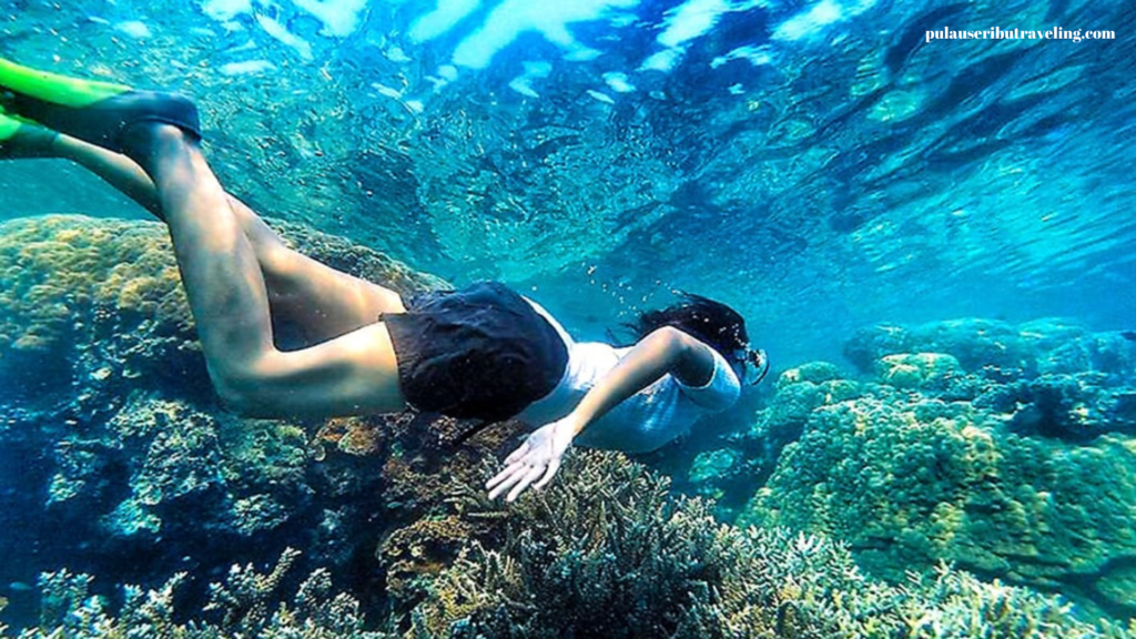 Stop Merenung, Ayo Mampir ke Pulau Tidung! 2 mampir ke pulau tidung, kepulauan seribu, pulau tidung besar, pulau tidung kecil, jakarta, snorkeling, pantai tanjung barat, jembatan cinta,