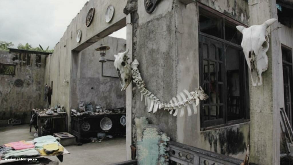 dark tourism,
