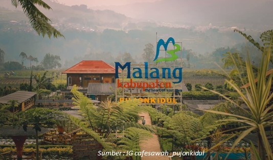 Cafe Sawah Pujon Kidul Tempat Healing di Malang Cafe Bernuansa Alam