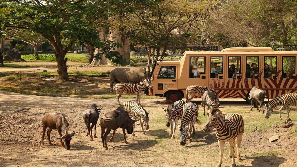Wisata Bali Safari and Marine Park Gianyar, Nonton Hewan Liar dan Belajar Main Gamelan Wisata Bali Safari and Marine Park Gianyar
