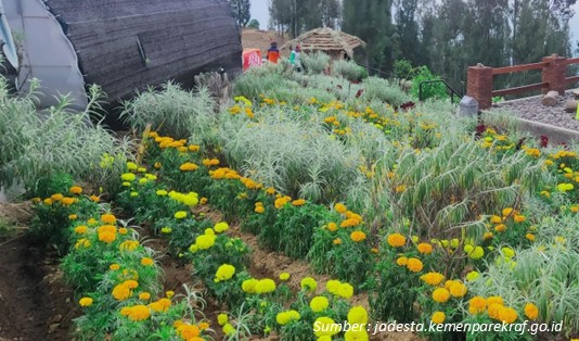 Desa Wisata Edelweiss Wonokitri Pasuruan