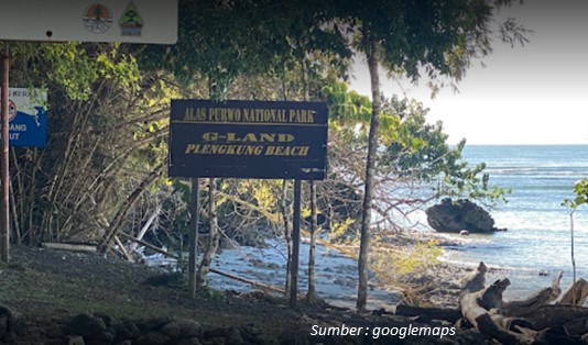 Aman untuk Surfing, 3 Pantai di Banyuwangi Ini Menunggu Dikunjungi 2 Pantai di Banyuwangi untuk Surfing Pantai Plengkung