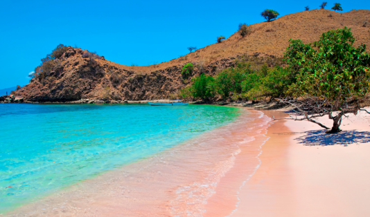 Uang 1,4 Juta Bisa One Day Trip Labuan Bajo? Let's Go! 3 one day trip labuan bajo, pulau padar, pulau komodo, pink beach, taka makassar, manta point, pari manta, pulau kanawa,