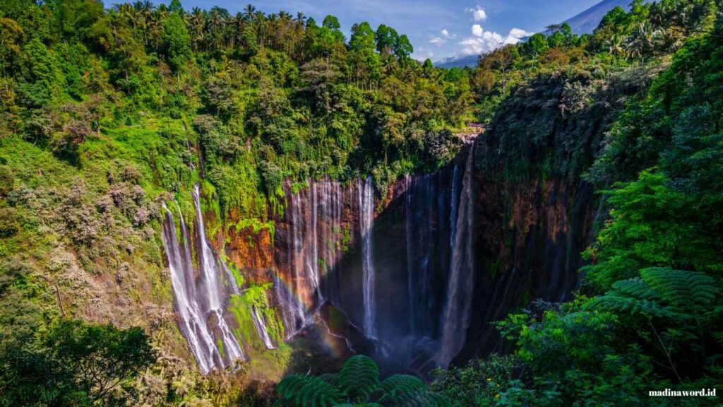 Trip ke Tumpak Sewu dan Goa Tetes Cuma Rp950 Ribu Trip ke Tumpak Sewu dan Goa Tetes Cuma Rp950 Ribu