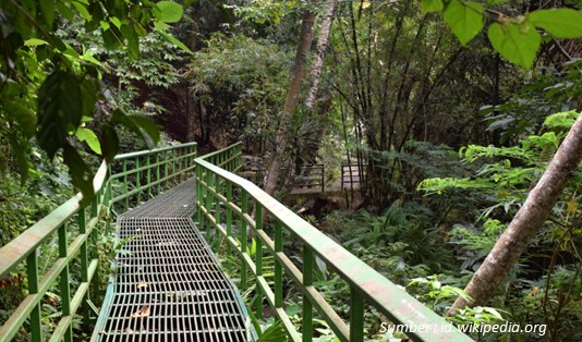 Hutan Kota Bungkirit