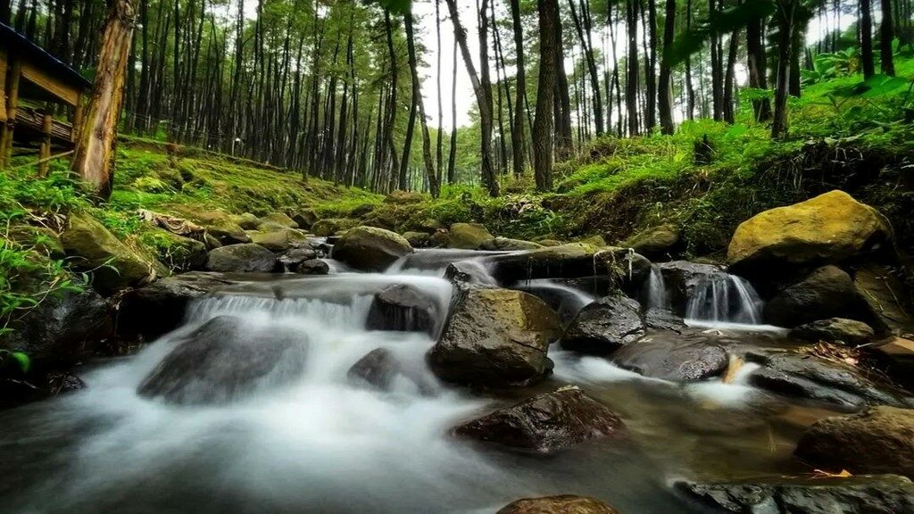 Klurak Eco Park Pacet