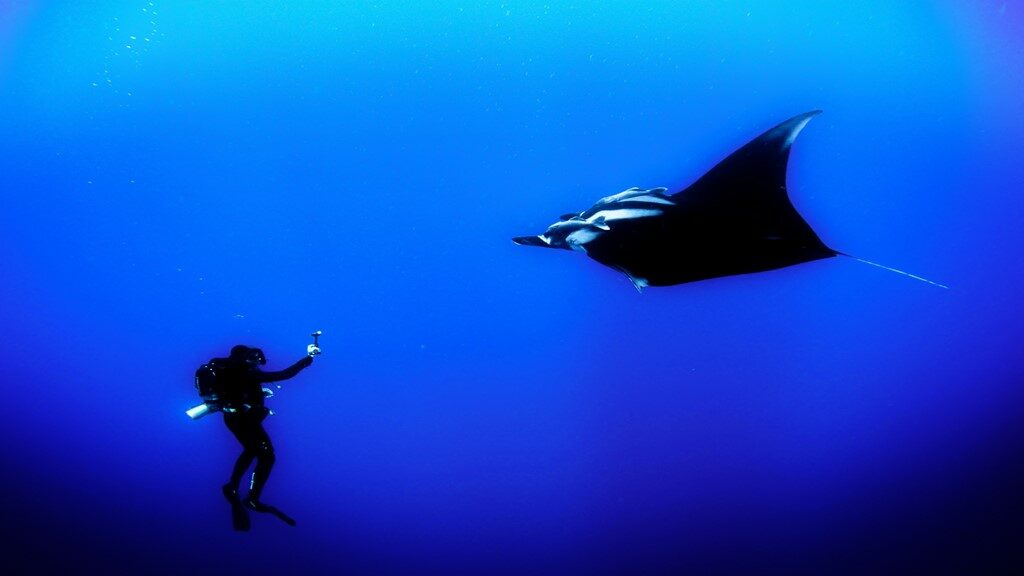 Manta Point Labuan Bajo