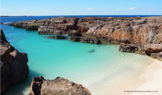 panati oeseli, pulau rote,