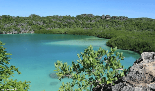 4 hari di pulau rote, telaga nirwana, pantai oeseli, pantai oelangga, pantai loedik, bukit dano fulak, pantai nembrala, seed resort, pantai tolanamon, air terjun oefamba, pantai oesosole, mangrove oenggae, 