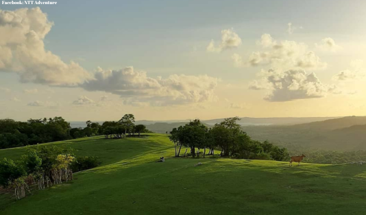 4 hari di pulau rote, telaga nirwana, pantai oeseli, pantai oelangga, pantai loedik, bukit dano fulak, pantai nembrala, seed resort, pantai tolanamon, air terjun oefamba, pantai oesosole, mangrove oenggae, 