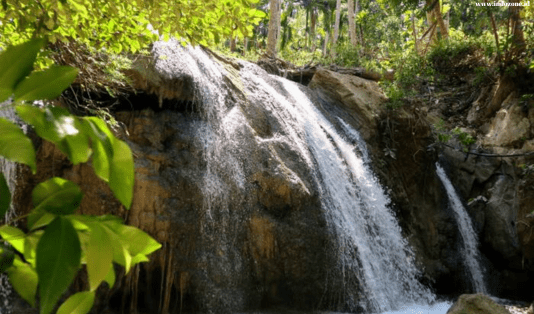 4 hari di pulau rote, telaga nirwana, pantai oeseli, pantai oelangga, pantai loedik, bukit dano fulak, pantai nembrala, seed resort, pantai tolanamon, air terjun oefamba, pantai oesosole, mangrove oenggae, 