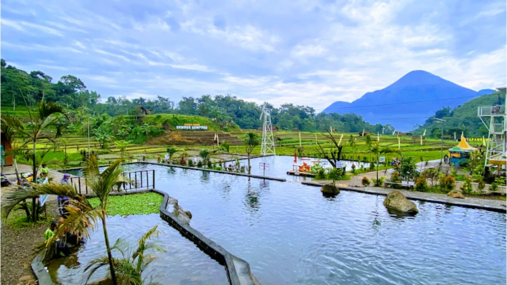 wisata sawah sumber gempong