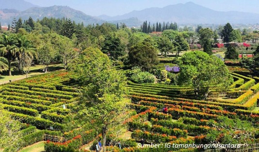 9 Wahana Taman Bunga Nusantara, Agrowisata Nasional Berskala Internasional 1 Deskripsi Taman Bunga Nusantara