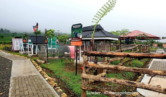 Lokasi Wisata Domba Cilongok 