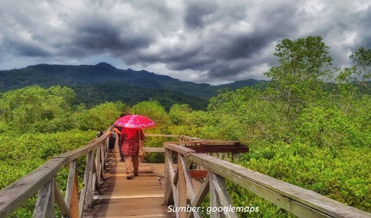Lokasi Wisata Mangrove Pancer