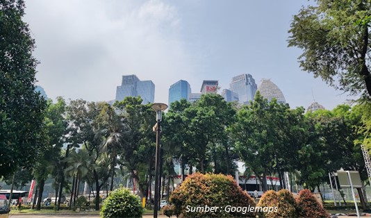 Rekomendasi Aktivitas Menarik di Hutan 