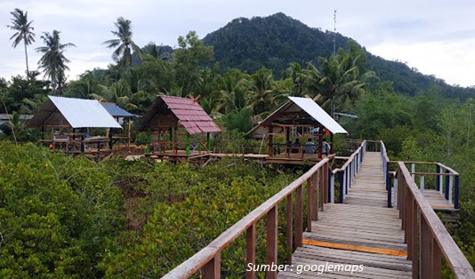 Spot Menarik Wisata Mangrove Pancer