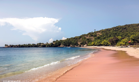 4 Hari 3 Malam Family Trip di Lombok, Pasti Cocok! 4 family trip lombok, kampung sade, pantai kuta mandalika, bukit merese, pantai selong belanak, pink beach, gili petelu, air terjun benang kelambu, desa wisata bonjeruk, kampung sukarara, bukit malimbu, pantai senggigi,