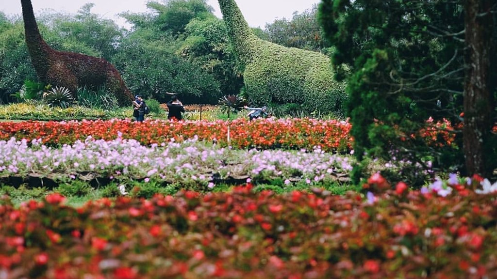 9 Wahana Taman Bunga Nusantara, Agrowisata Nasional Berskala Internasional Wahana Taman Bunga Nusantara