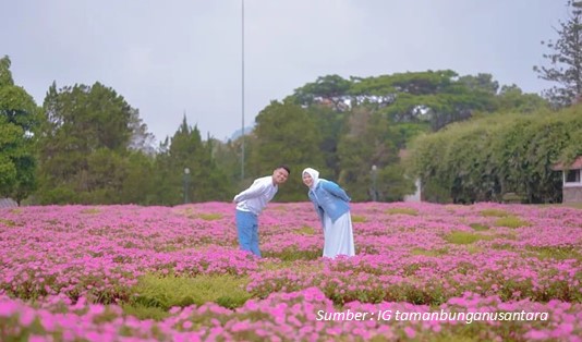 9 Wahana Taman Bunga Nusantara, Agrowisata Nasional Berskala Internasional 5 Wahana Taman Bunga Nusantara
