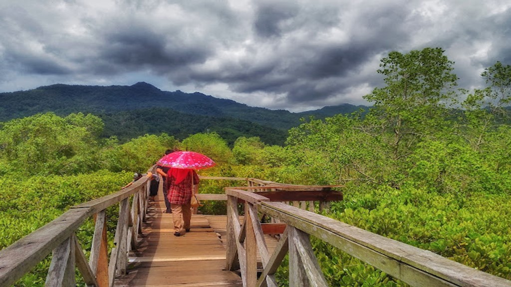 Wisata Mangrove Pancer