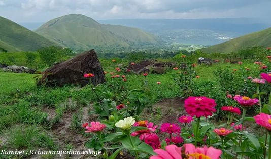 6 Kegiatan Menyenangkan di Desa Wisata Hariara Pohan 3 Kegiatan Menarik yang Bisa dilakukan di Desa Wisata Hariara Pohan