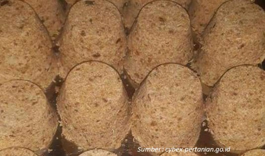 Varian Kue Putu Putu Pesse